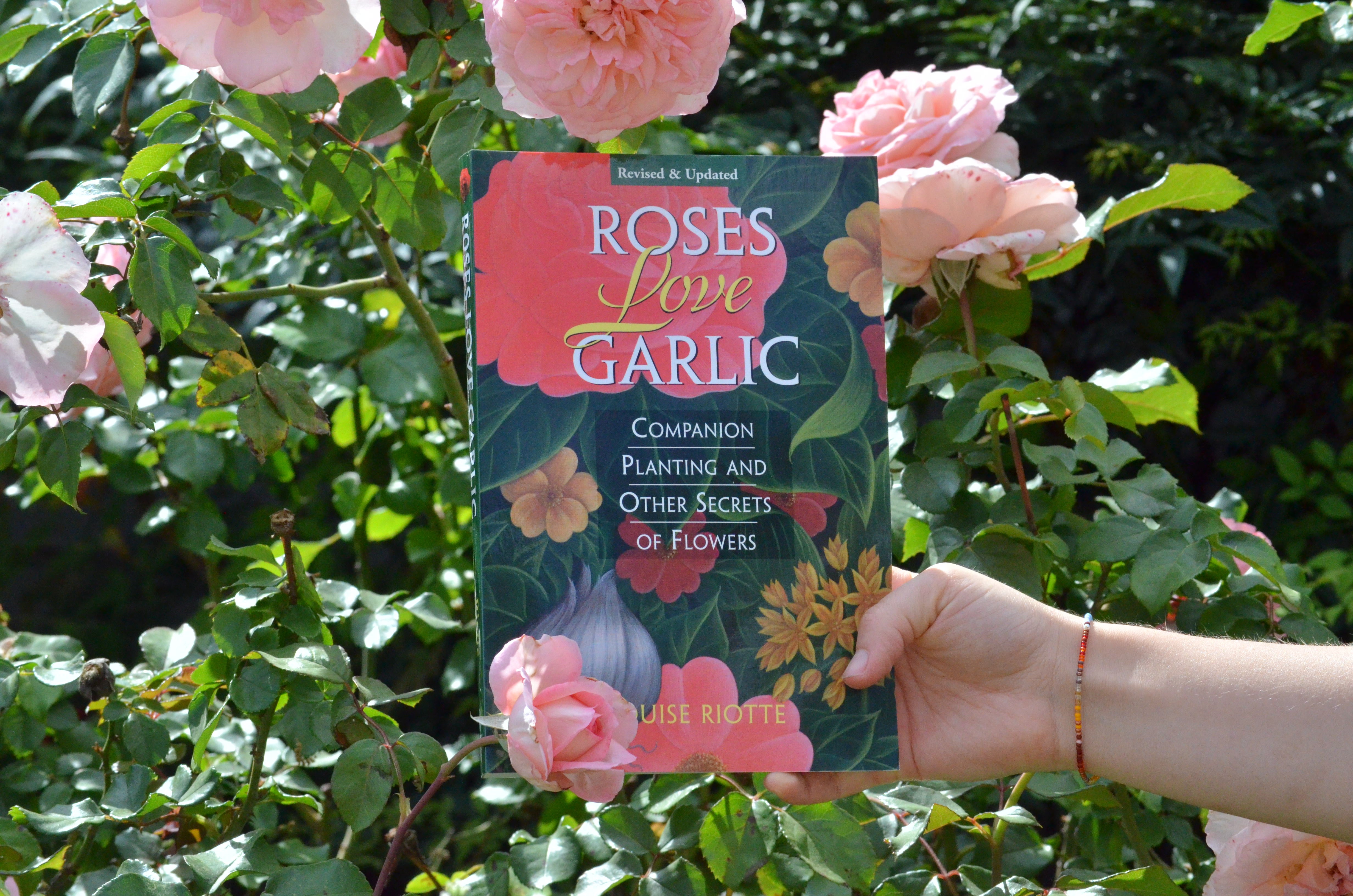 Roses Love Garlic by Louise Riotte | Companion Planting Guide