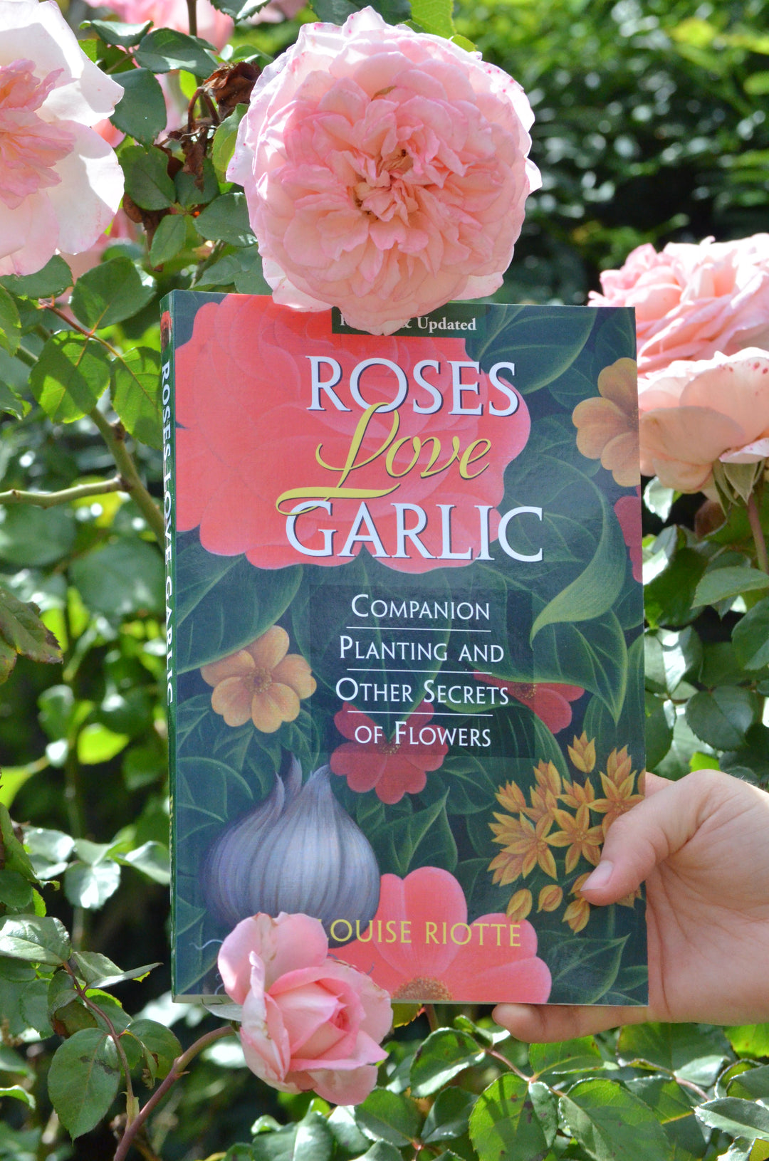 Roses Love Garlic