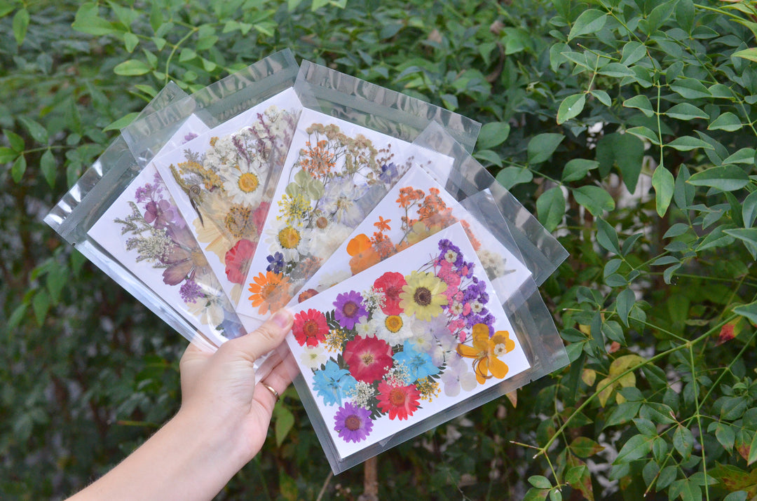 Pumpkin Mod Podge & Pressed Flowers