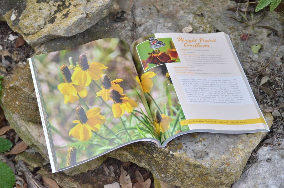 Native Plant Gardening for Birds, Bees & Butterflies
