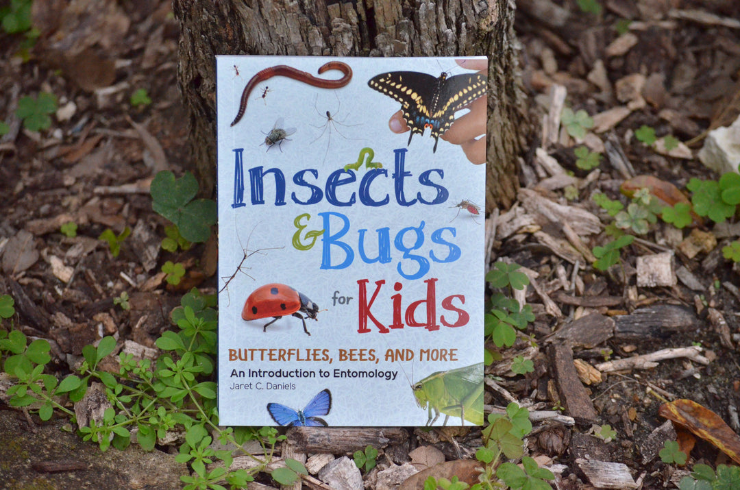 Insects & Bugs for Kids