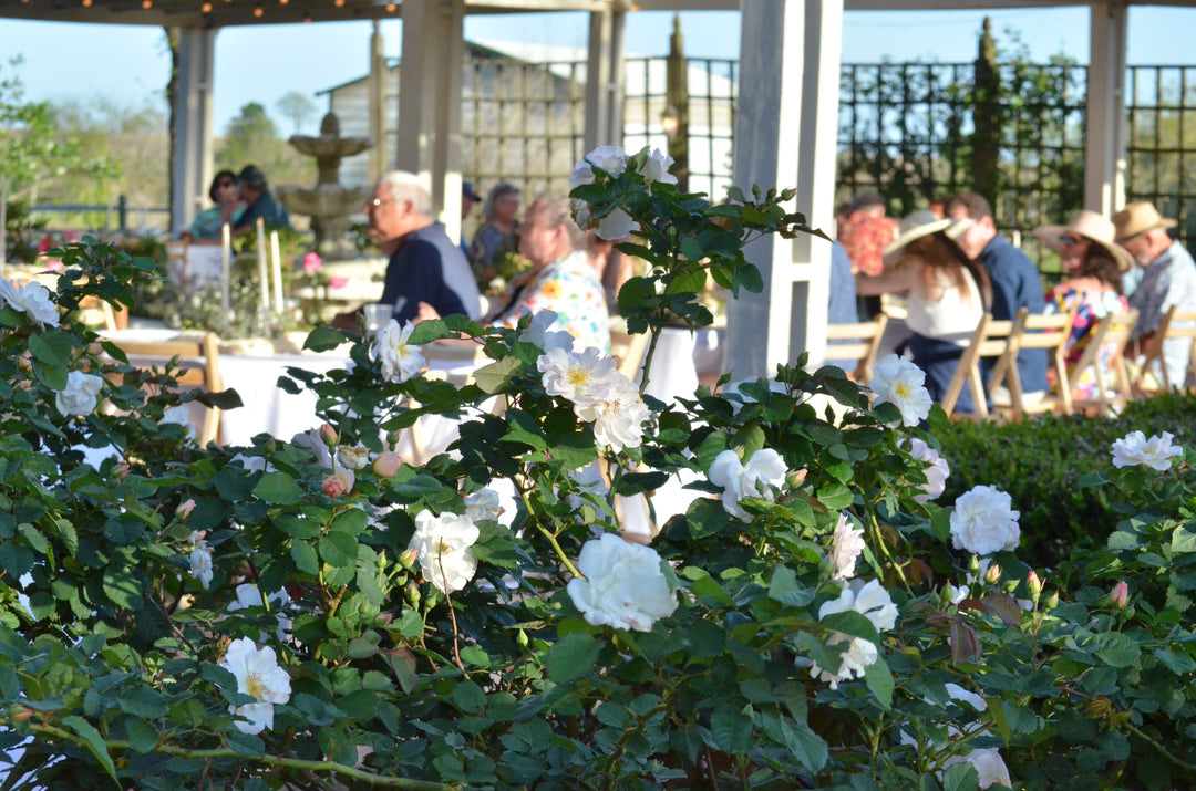 Fall Garden Party 2026