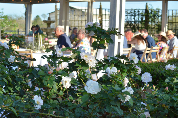 Fall Garden Party 2026