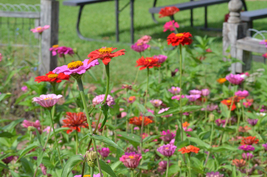 Garden to Vase: A Floral Workshop