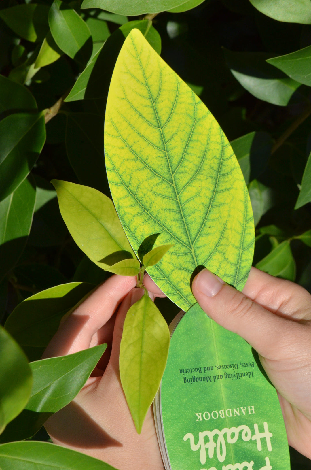 Plant Health Swatch Book