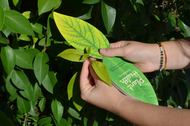 Plant Health Swatch Book