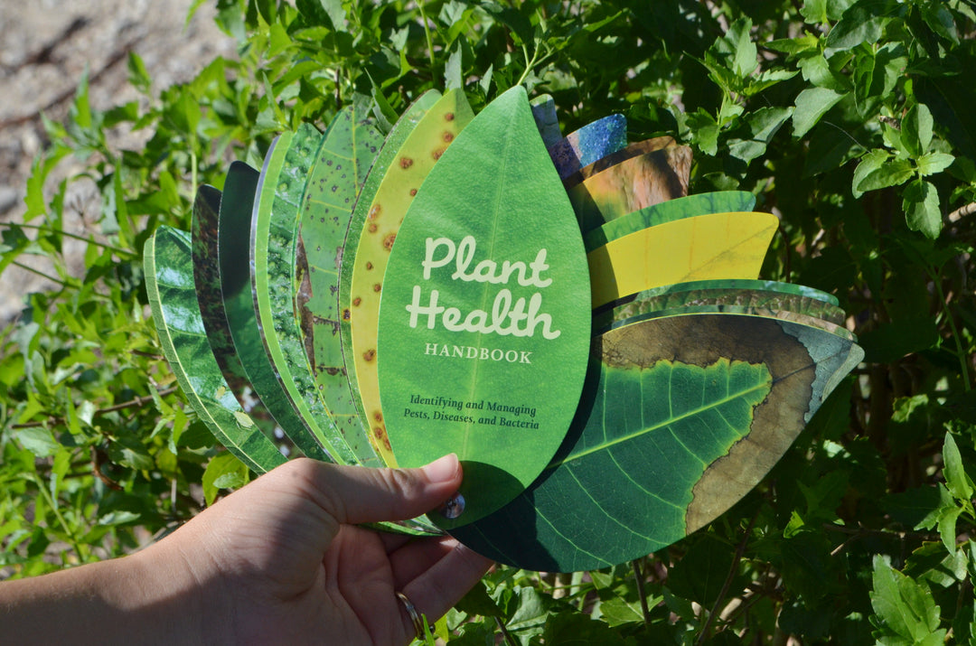 Plant Health Swatch Book