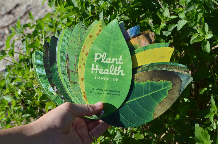 Plant Health Swatch Book