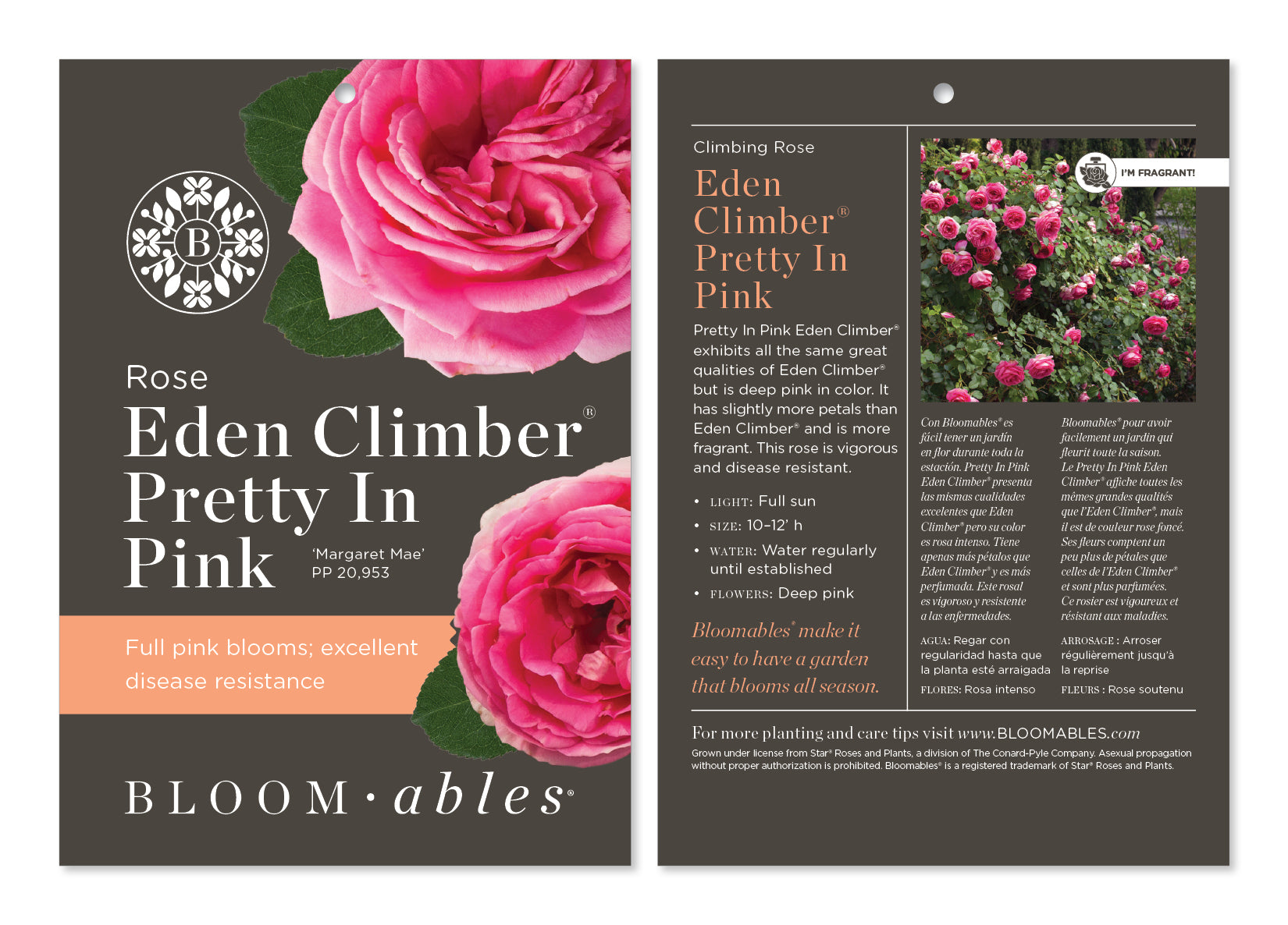 Eden Climber Pretty In Pink