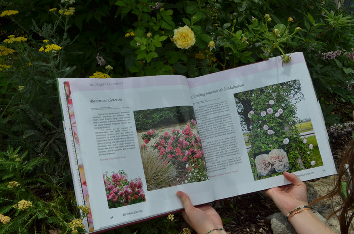 Open coffee table book for rose lovers.