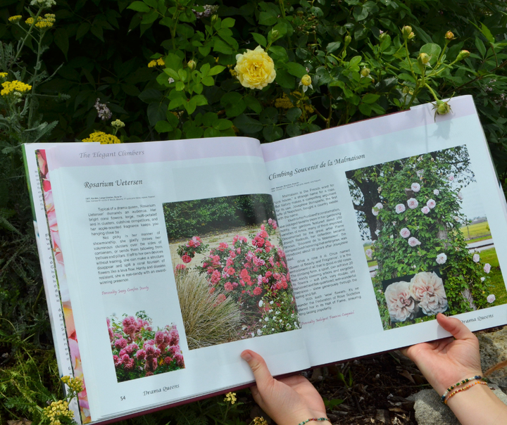 Empress Of The Garden Book