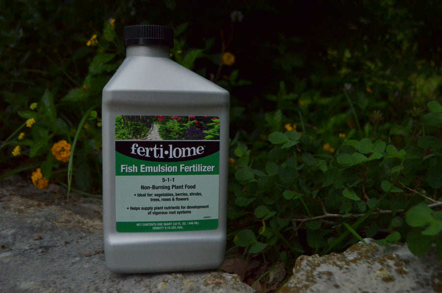bottle of Fertilome Fish Emulsion Fertilizer with clovers and flowers in the background.