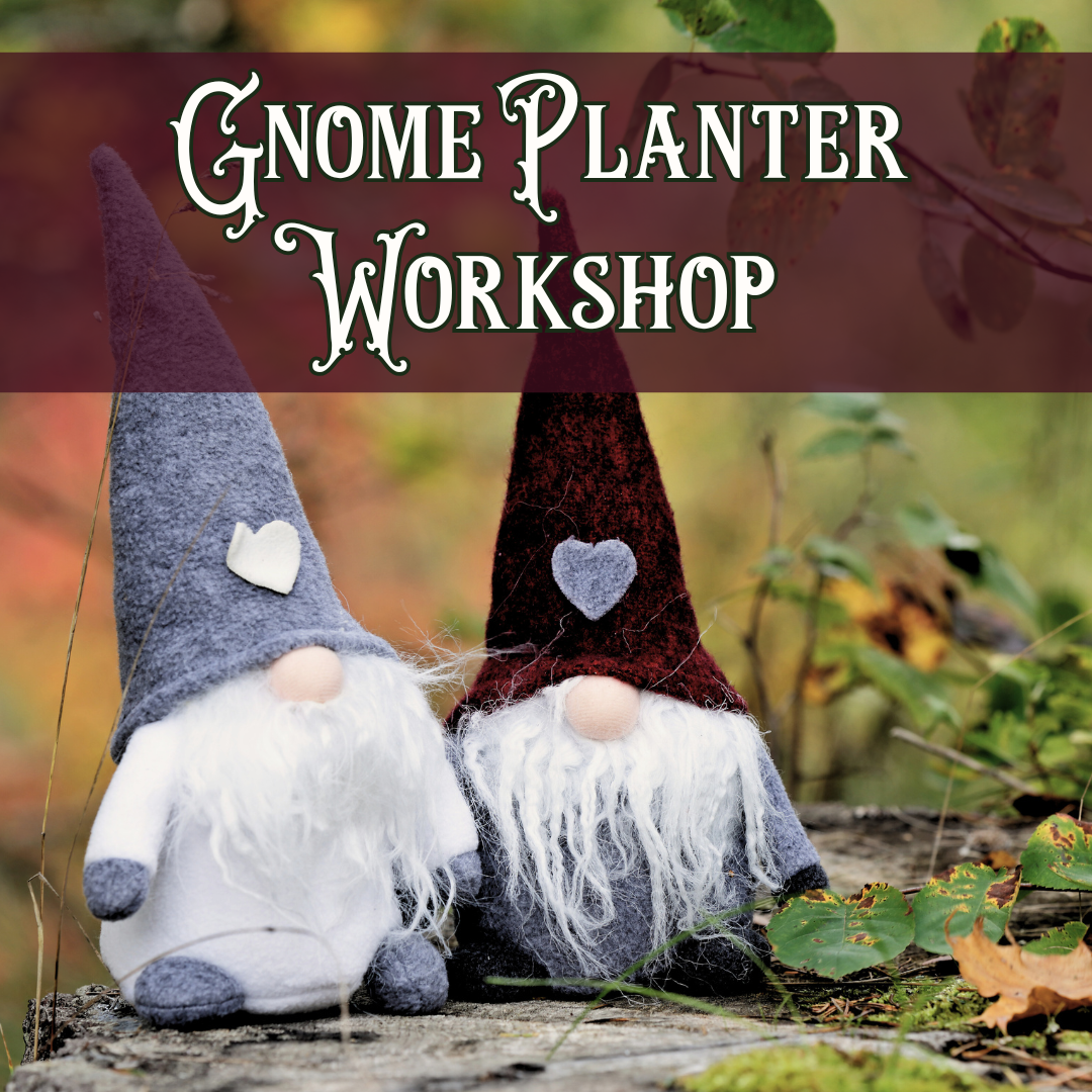 Gnome Planter Workshop