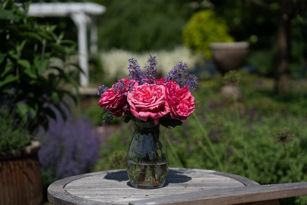 Bouquet of pink roses, Loves Me Loves Me Not, and purple flowers in a vase on a table with blurred garden background.
