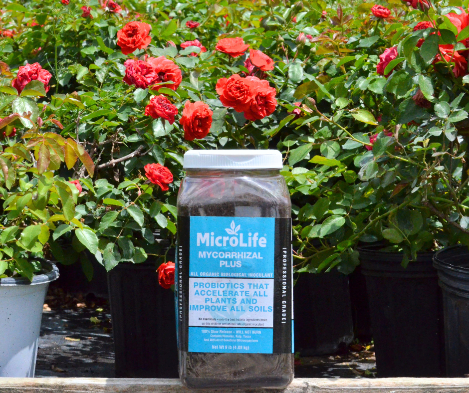 MicroLife Mycorrhizal Plus