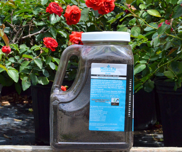 MicroLife Mycorrhizal Plus