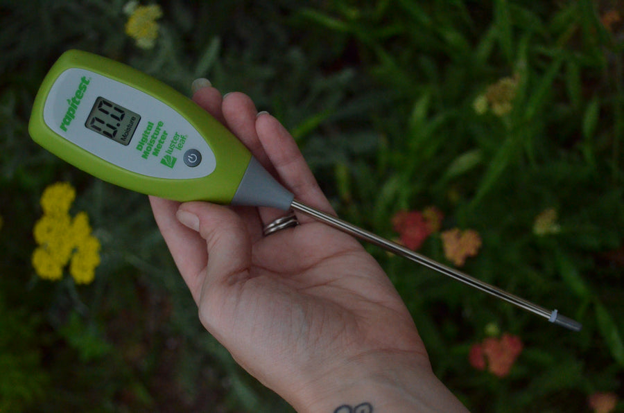 hand holding moisture meter for garden use.