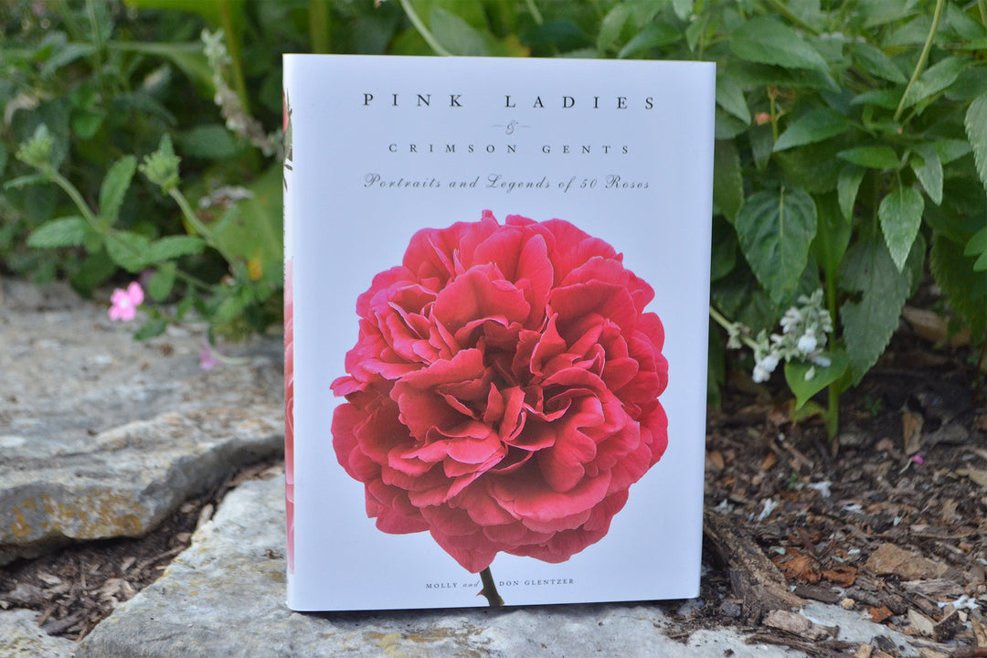 Book titled 'Pink Ladies & Crimson Gentes' with a pink flower on the cover, placed outdoors among greenery.