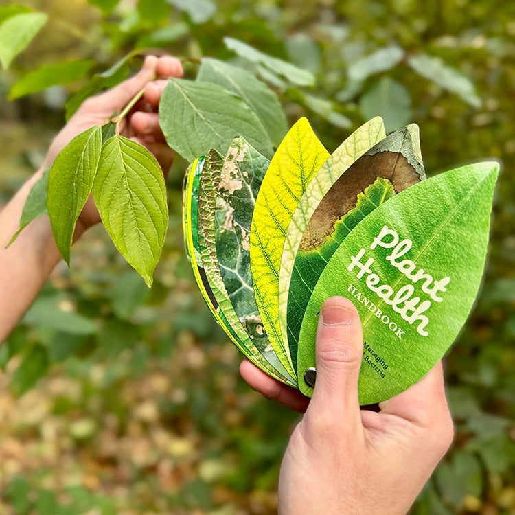 Plant Health Swatch Book