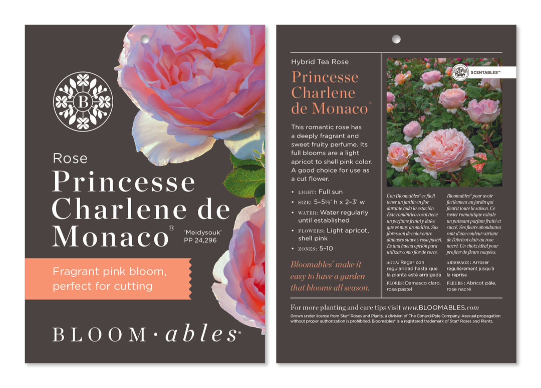Princesse Charlene de Monaco®