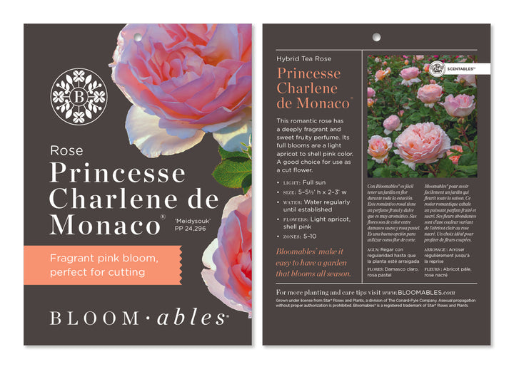 Princesse Charlene de Monaco®