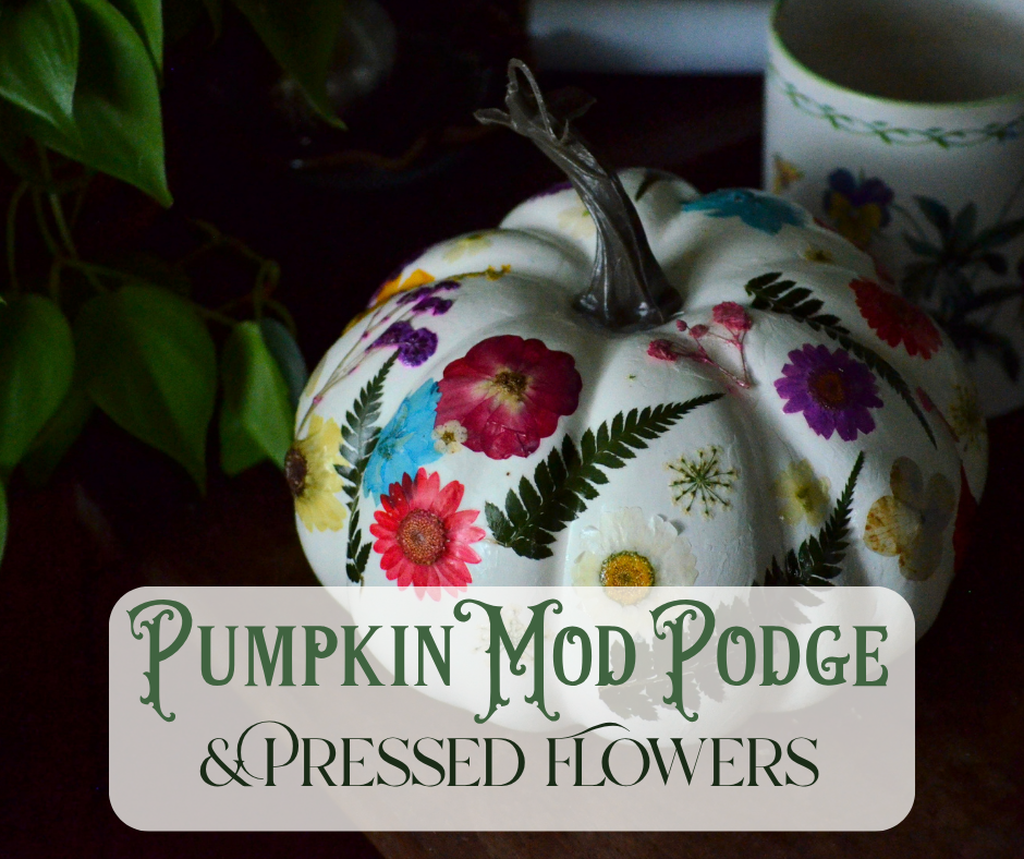 Pumpkin Mod Podge & Pressed Flowers