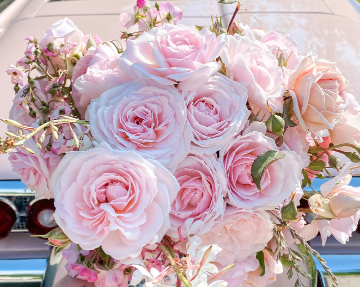 Pink Cut Rose Bundle