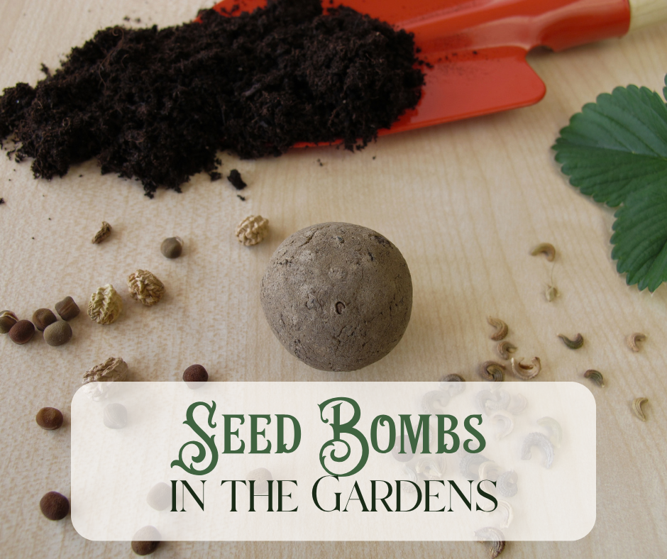 Seed Bomb Making