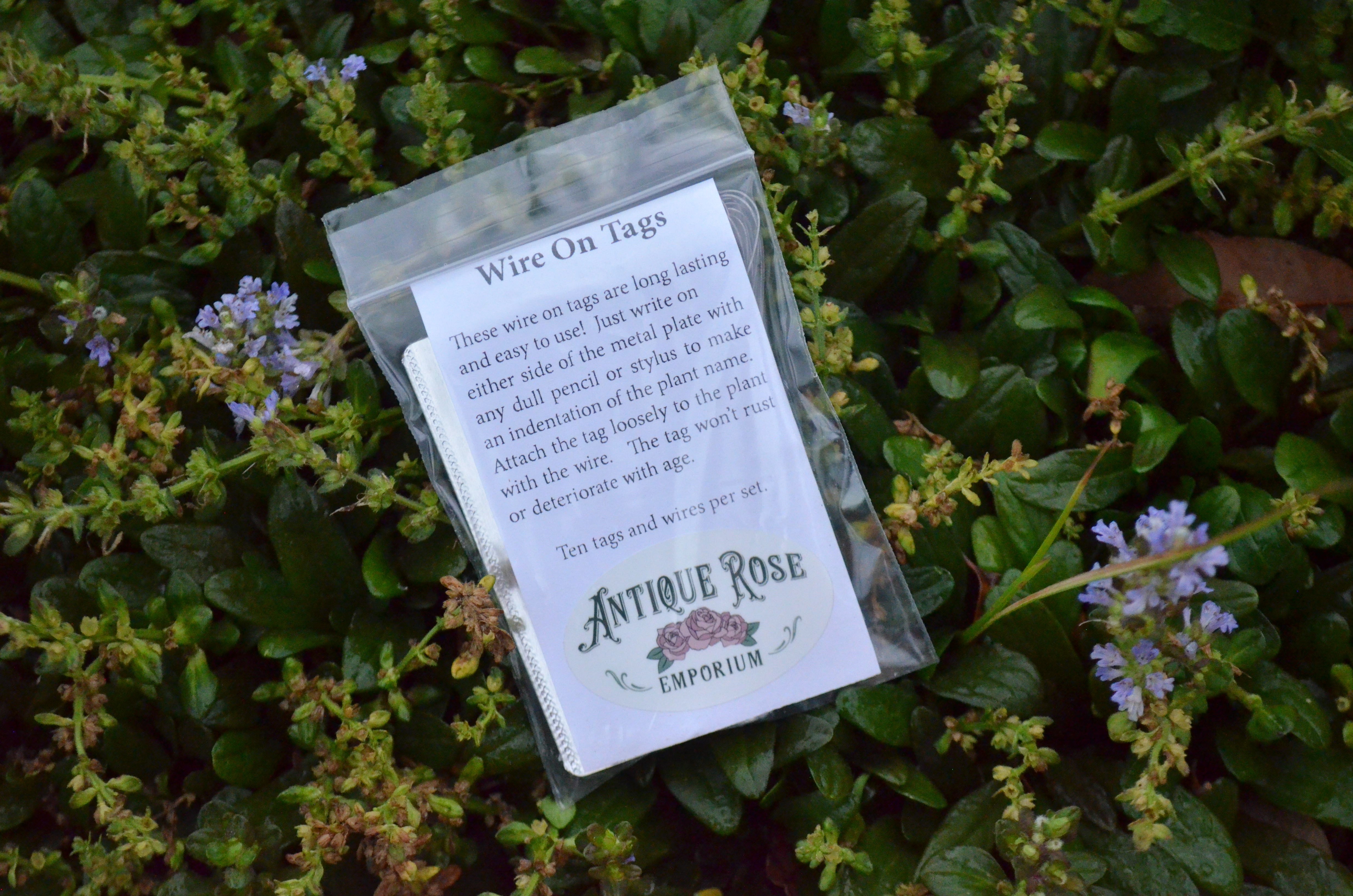 Wire On Tags (Set of 10) – Antique Rose Emporium