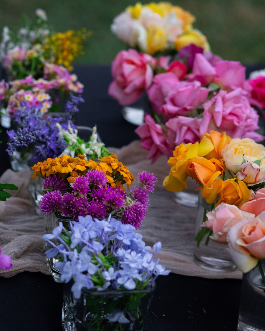 photo of different color flowers organized by type of flower.