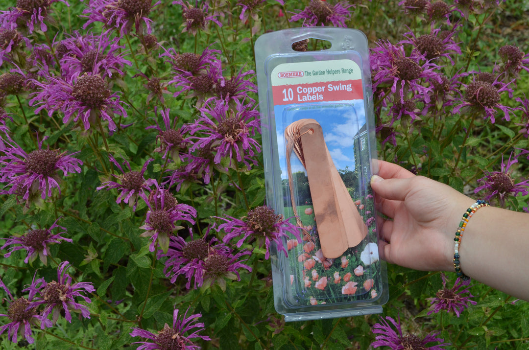 Copper Tags