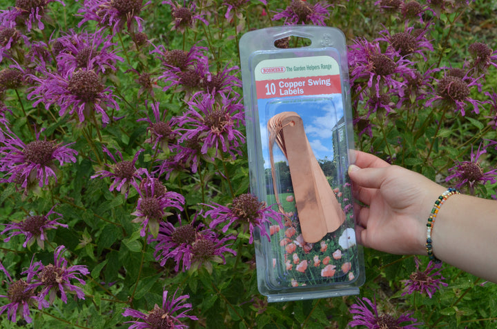 Copper Tags