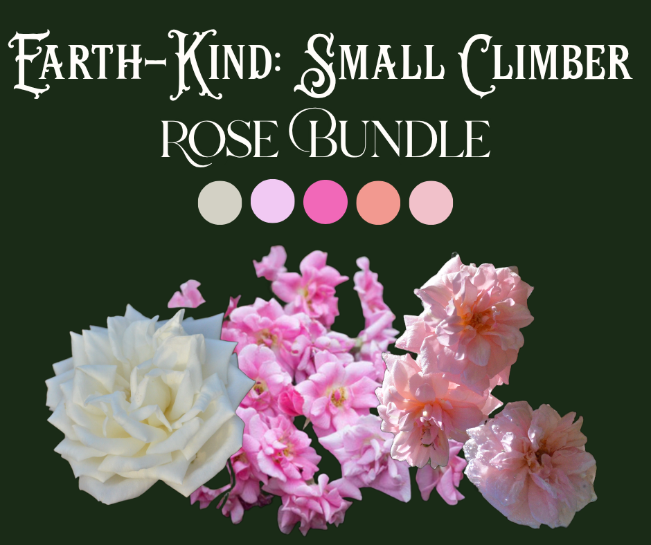 Earth-Kind® Rose Bundle (Small Climber Included)