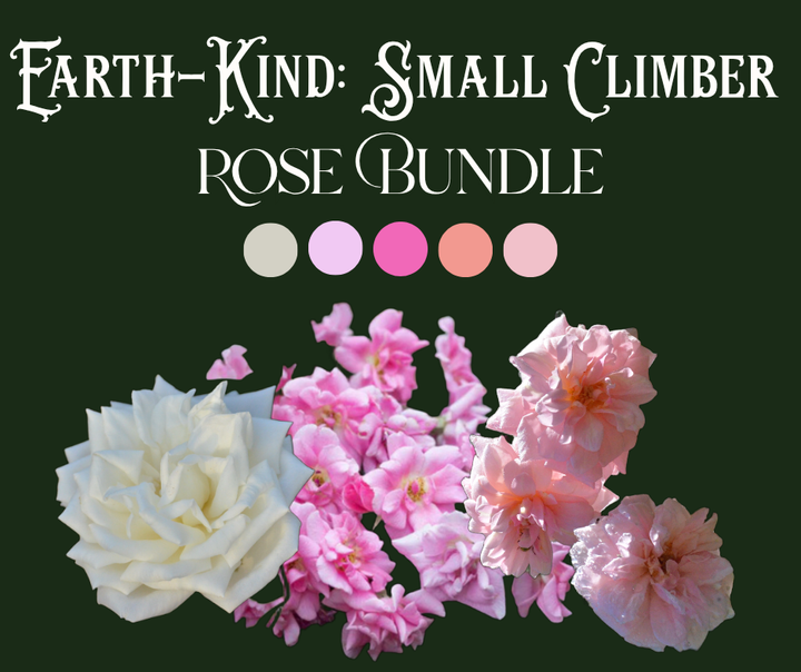 Earth-Kind® Rose Bundle (Small Climber Included)