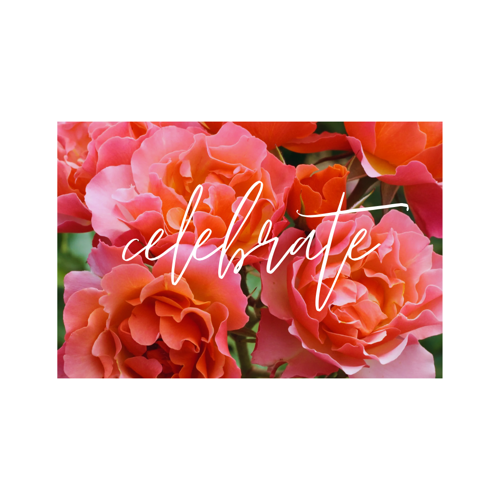 Celebrate Gift Card Antique Rose Emporium