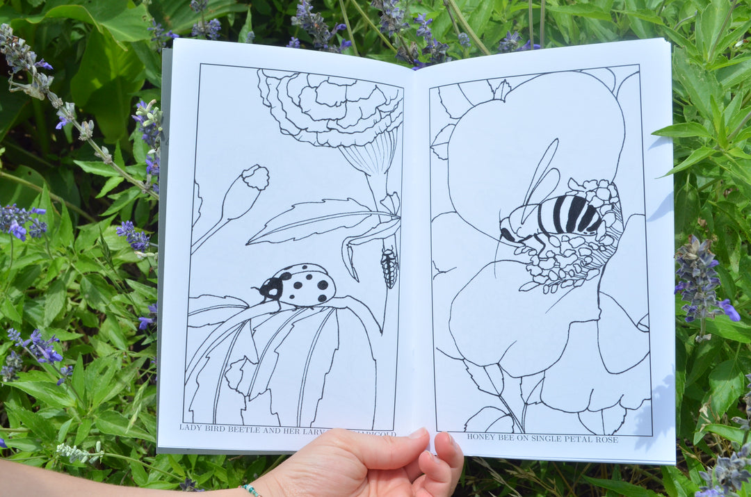 Friends in the Gardens: Beneficial Insects Coloring Book
