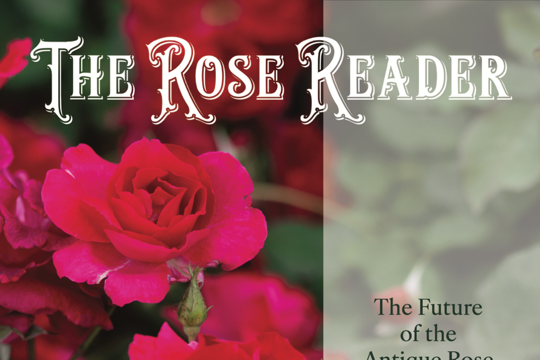 Cover of catalog called rose reader that features the top 100 roses.